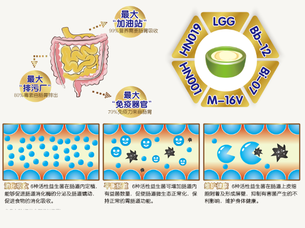 搭建宝宝免疫防护网，爱的营养大师助力宝宝防疫防疫!